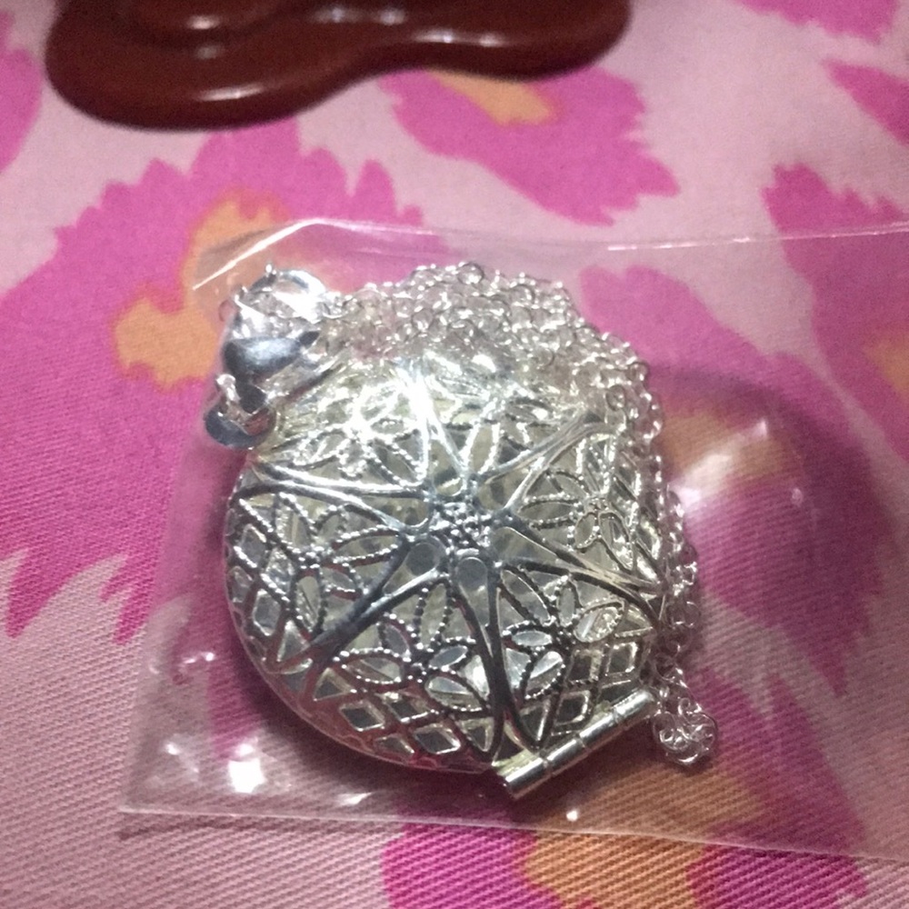 Awesome Rare 925 SS beautiful Sand Dollar necklace!!